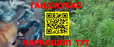 a pvp Моздок